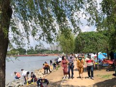 -丁香湖公园