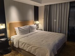 -佛山岭南天地康得思酒店