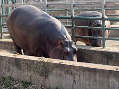 -哈尔滨北方森林动物园