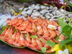 -亚龙湾希尔顿自助餐厅·海鲜·烧烤·沙滩BBQ·现场乐队