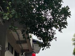 -红星光发煲仔饭(大石街店)