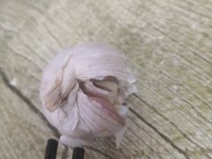 -永盛斋小吃(故宫店)