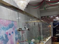 -糯米喵星人总部直营旗舰店·猫舍·幼猫出售