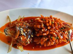 松鼠鳜鱼-圆苑(金茂店)