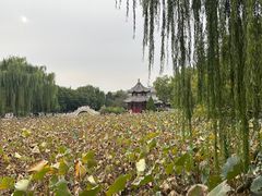 -莲池书院博物馆