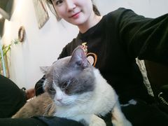 -共舞时光猫咖·狗咖(新街口店)