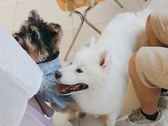 -怪兽屋·羊驼·猫咖·狗咖(俊华广场店)