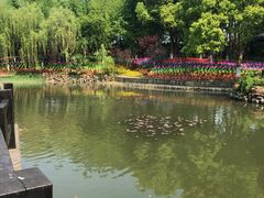 -天目湖山水园