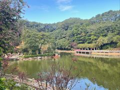 -广州市帽峰山景区