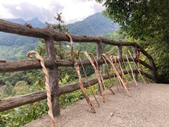 -石台牯牛降景区