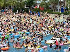-重庆海昌加勒比海水世界