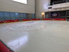 -冰纷万象滑冰场(二七万象城店)