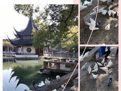 -西园戒幢律寺