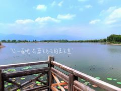 -野鸭湖国家湿地公园