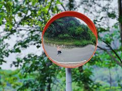 -火炉山森林公园