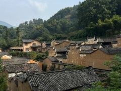 -杨家堂村