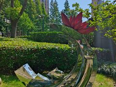 -陈家山荷花公园