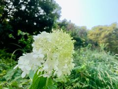 -上海滨江森林公园