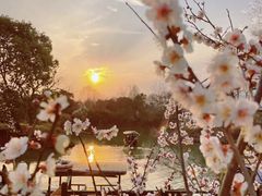 -西溪国家湿地公园