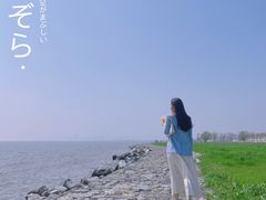 -合肥滨湖国家森林公园