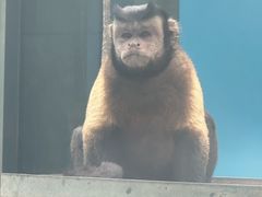 -秦皇岛野生动物园