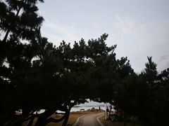 -青岛第三海水浴场