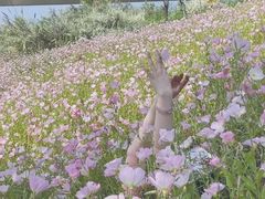 -汉长安城未央宫国家考古遗址公园