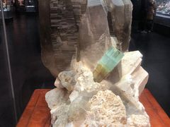 -湖南省地质博物馆