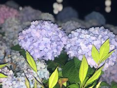 -汉江湾体育公园