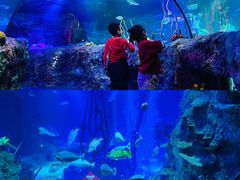 -沈阳海洋探索中心