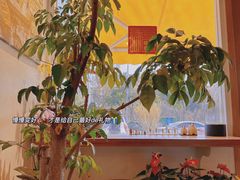 -琥珀咖啡 Ambercoffee