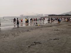 -台山黑沙湾海浴场