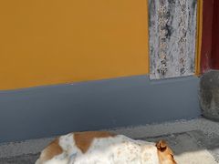 -龙华寺