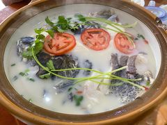 -全乐鱼馆·淳牌有机鱼直营店