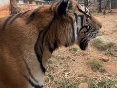 -昆明动物园