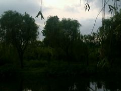 android_upload_pic-新江湾城公园