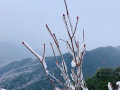-金子山原生态旅游风景区