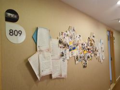 -海豚湾高端月子会所(黄浦店)