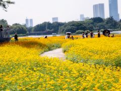 -海珠湖公园