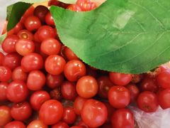 -樱桃山旅游景区