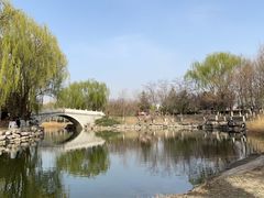 -大兴滨河森林公园