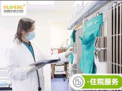 -美联众合动物医院·24h转诊中心