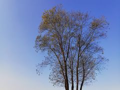 -钟山体育运动公园