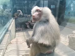 -无锡动物园·太湖欢乐园