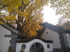 -北京鹫峰国家森林公园