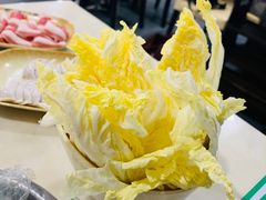 -顺德哥卜卜贝(旗舰店)