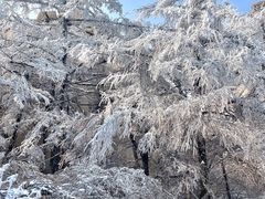 -崂山巨峰游览区