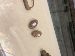 -虎头要塞