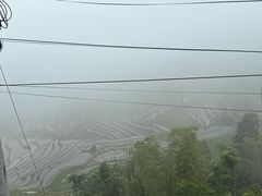 -紫鹊界梯田景区