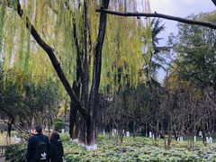 -绵阳人民公园(涪城区)
